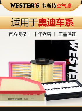 奥迪A4L空滤A6L A1 A3 A5 A7 A8L TT Q2L Q3 Q6 Q7 Q8空气滤芯Q5L