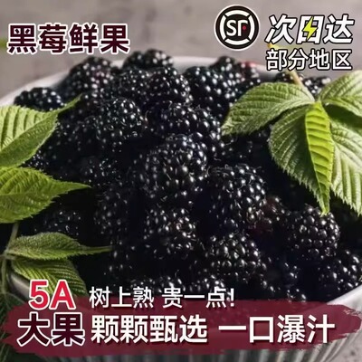 顺丰空运黑树莓鲜果孕妇水果稀有热带新鲜大树梅二盒云南亿颗莓