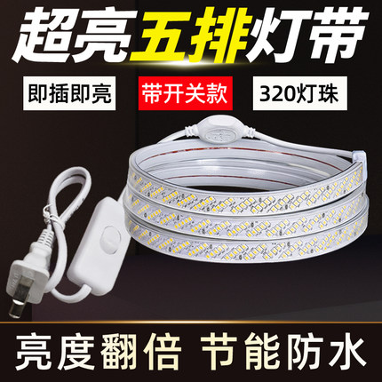 led灯带白光36v220卷320灯室外防水工程工地下室隧道养殖照明灯条