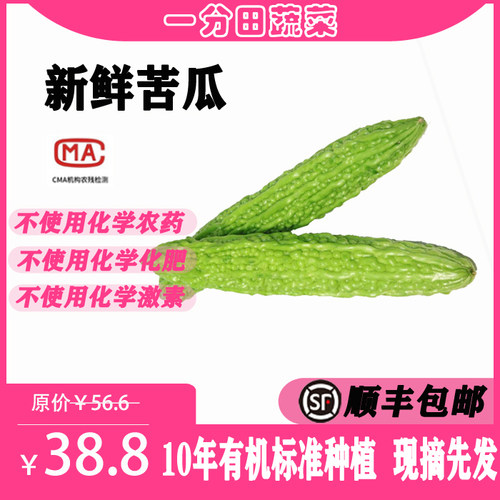 一分田新鲜苦瓜青岛500g