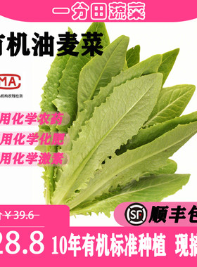 一分田新鲜油麦菜蔬菜500g