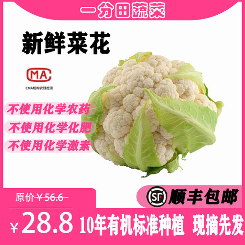 新鲜配送顺丰500g有机花菜