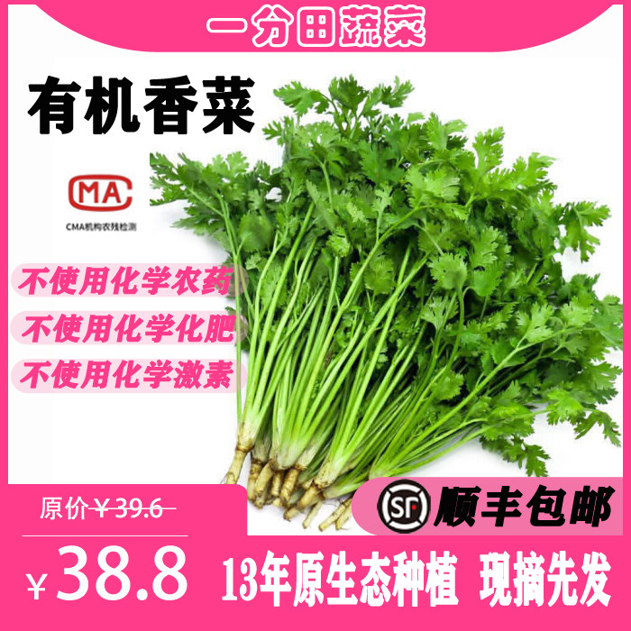 一分田 有机芫荽 香菜 新鲜蔬菜 蔬菜配送 【顺丰速运】500g
