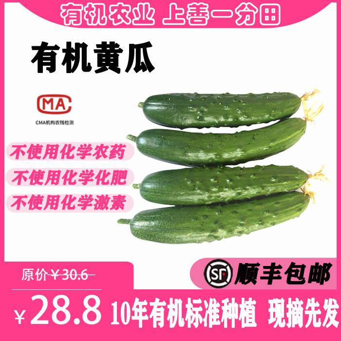 一分田 有机黄瓜 新鲜旱黄瓜 现摘黄瓜新鲜  配送 顺丰速运500g