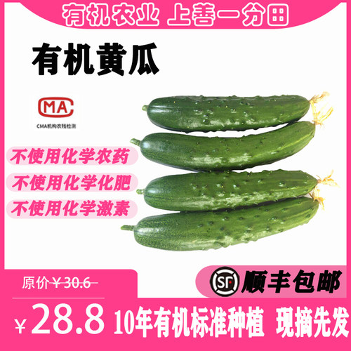 一分田有机黄瓜新鲜配送顺丰速运