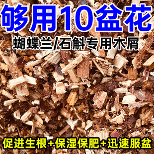 纯杉木屑兰花专用土石斛兰蝴蝶兰文心兰墨兰天然植料类兰草花专用