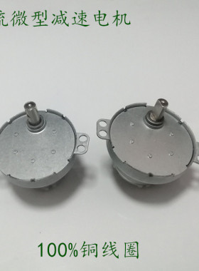 微型直流减速马达500大扭矩D型出轴马达6V12V低转速低噪音6V/12V