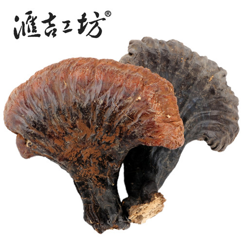 汇吉工坊长白山松杉灵芝
