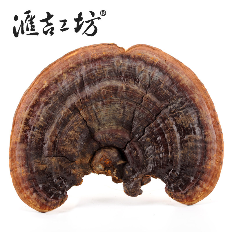 汇吉工坊灵芝片无柄赤芝整枝赤灵芝正品切片野外生长250g买3送1