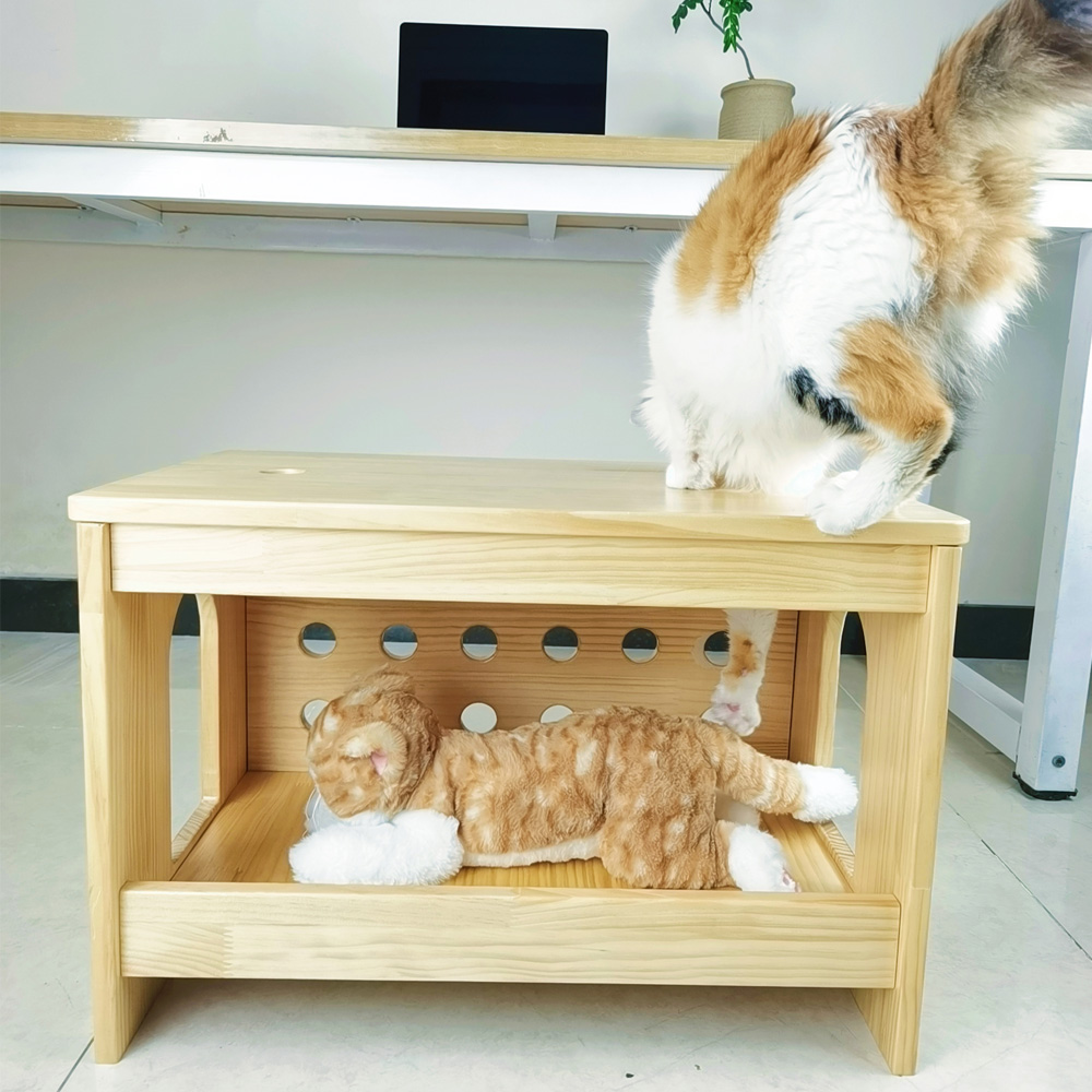会掏PP猫掏凳子洞洞洞凳猫耍凳