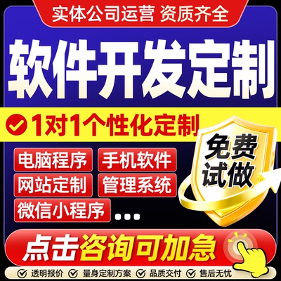 软件开发定制ai管理系统制作