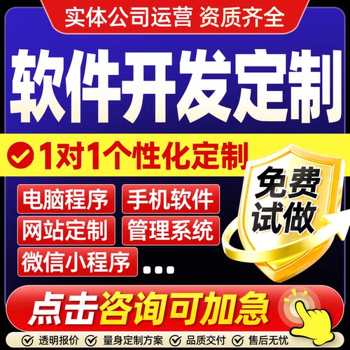 软件开发定制ai管理系统制作