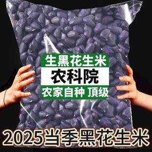 富硒黑花生2025年新货生黑花生米无壳紫皮花生日晒黑花生米仁新鲜