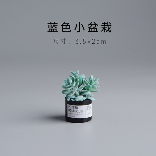 超级小的小盆栽很可爱的
