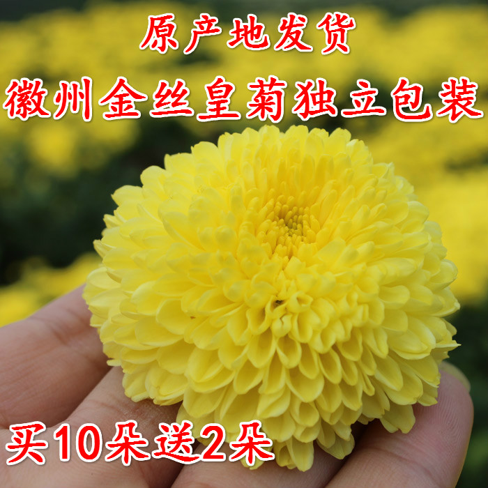 金丝皇菊特级婺源大皇菊花草茶修特色干货及养生干料