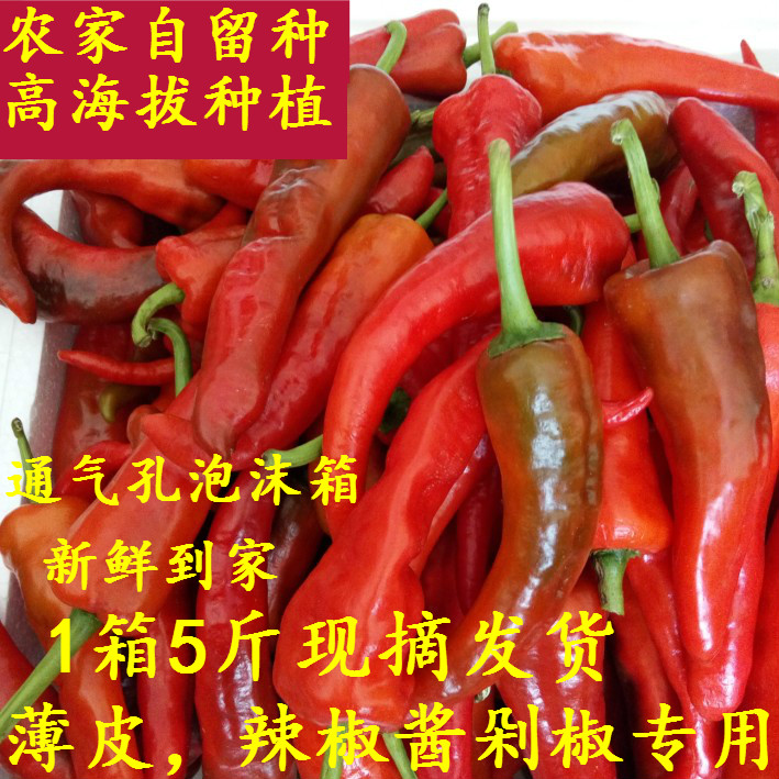 黄山农家高山现摘现发土红辣椒自留可做腌辣椒剁椒皮薄满5斤包邮