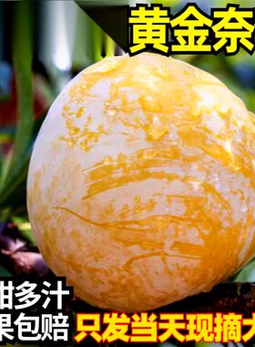 礼盒包装黄金奈李孕妇水果