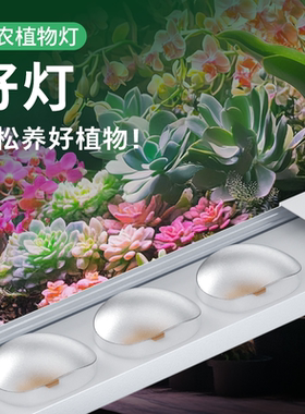 草农LED植物生长灯全光谱多肉补光灯上色室内蝴蝶兰鹿角蕨补光灯