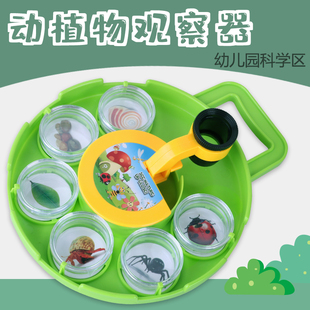 动植物标本观察放大镜幼儿园中班大班科学区材料投放实验器材教具
