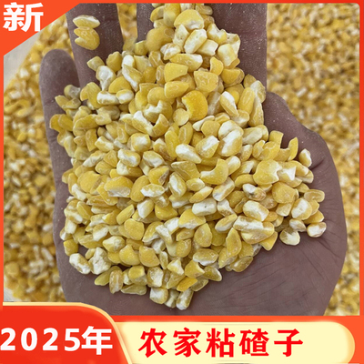 玉米茬子2024年新碴子