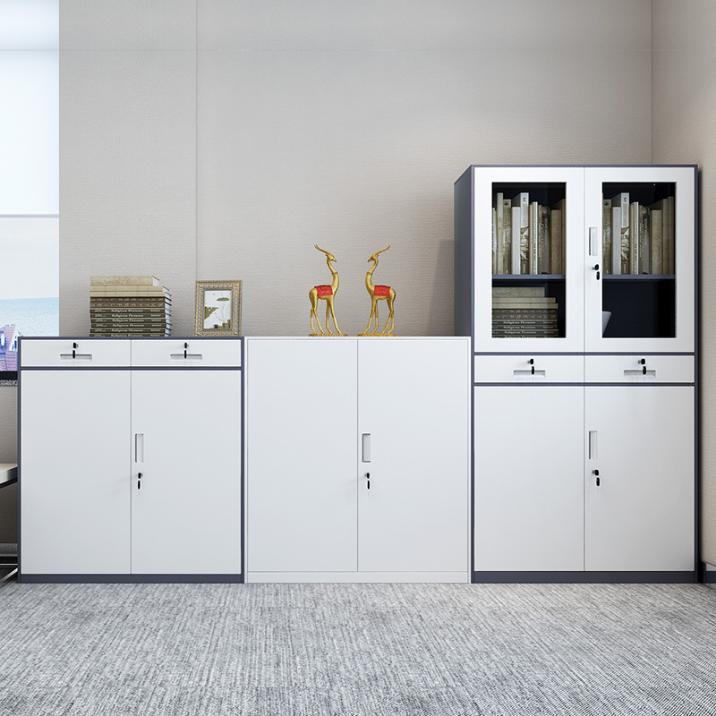 德国进口佛山拆装文件柜办公铁皮