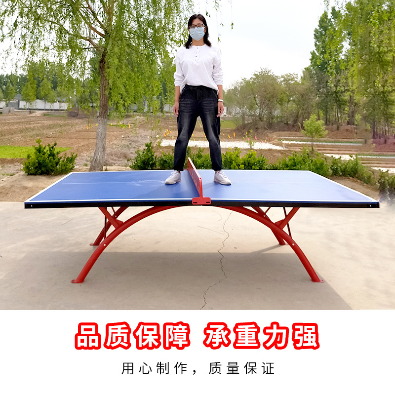 德国进口乒乓球台室外标准家用sm
