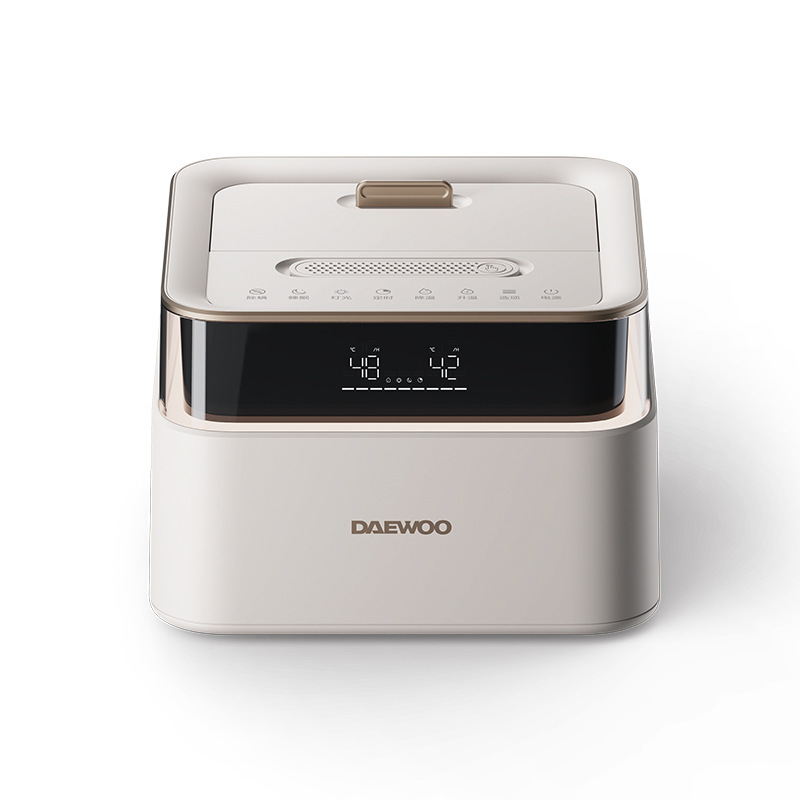 德国进口大宇DY-SN02水暖电热毯