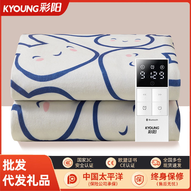 德国进口彩阳电热毯单人调温电加