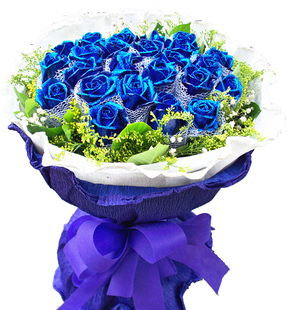蓝玫瑰鲜花速递同城生日鲜花福州鲜花成都鲜花上海鲜花合肥郑州