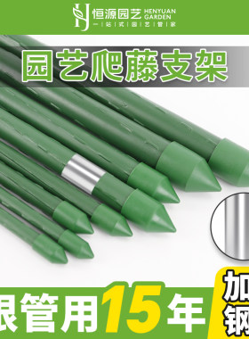 恒源黄瓜豆角葡萄种菜植物爬藤架
