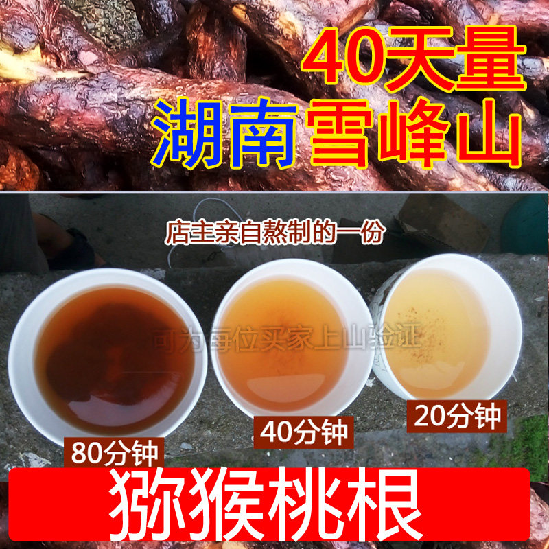 湖南雪峰山野生猕猴桃根雄洋