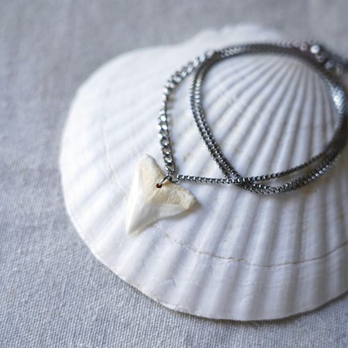 个性设计项链鲨鱼牙男女