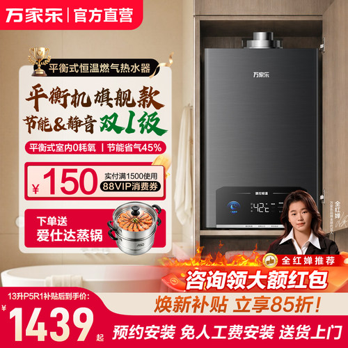 以旧换新平衡式燃气热水器恒温
