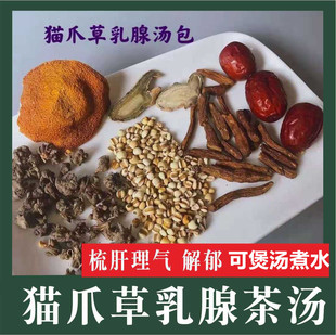 女性乳腺通煲汤料猫爪草猫脚草紫丹参蒲公英汤包去郁结梳肝脾气大
