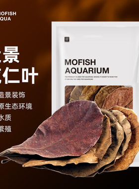 墨鱼造景/装饰墨鱼榄仁叶鱼缸