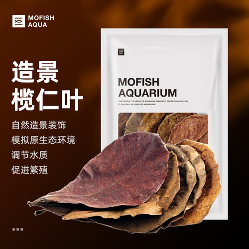 墨鱼造景/装饰墨鱼榄仁叶鱼缸
