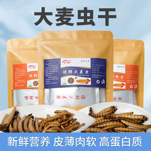 黄粉虫干面包虫仓鼠零食大麦虫干龙鱼乌龟鸟饲料观赏鱼粮保鲜虫干