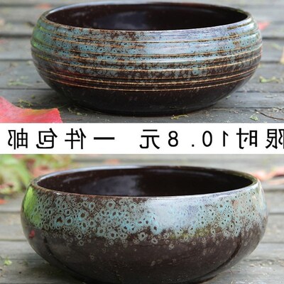 Meaty plant flowers Large diameter platter flowerpot