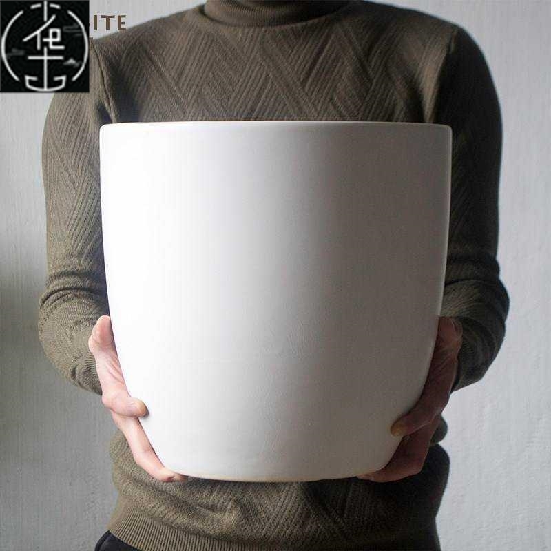 Ceramic Nordic Courtyard Floor Pot Large Green Plant Floor