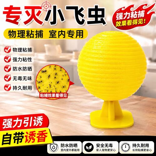 果蝇诱捕器室内灭杀去除蚊虫苍蝇