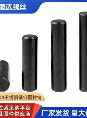 黑色304不锈钢销钉圆柱销定位销固定销实心销子M2M3M4M5M6M8M10mm