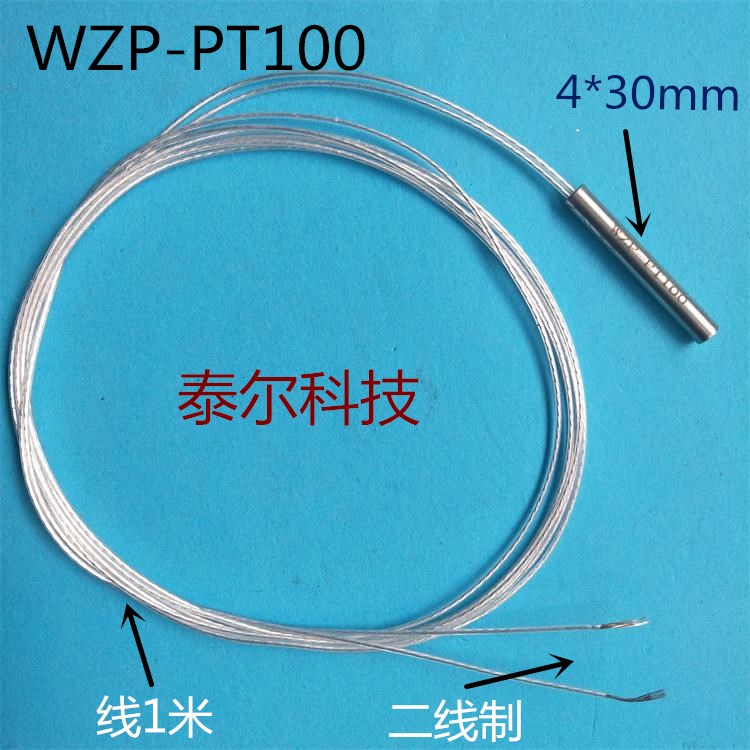 WZP-PT100不锈钢 铂电阻片温度传感器高温热电偶PT100 两线制探头
