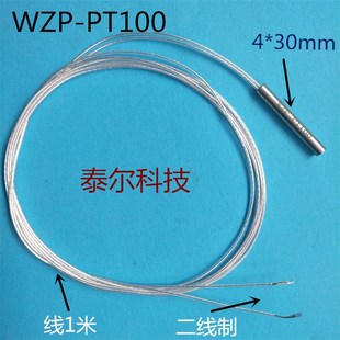 WZP-PT100不锈钢 铂电阻片温度传感器高温热电偶PT100 两线制探头