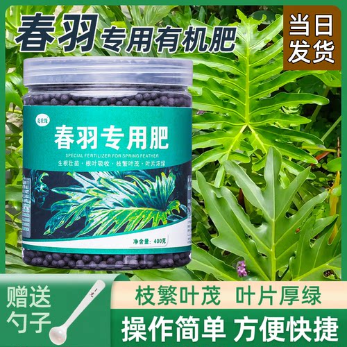 春羽类肥促绿植生长减少病虫害