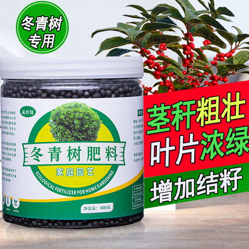 冬青树北美冬青专用肥