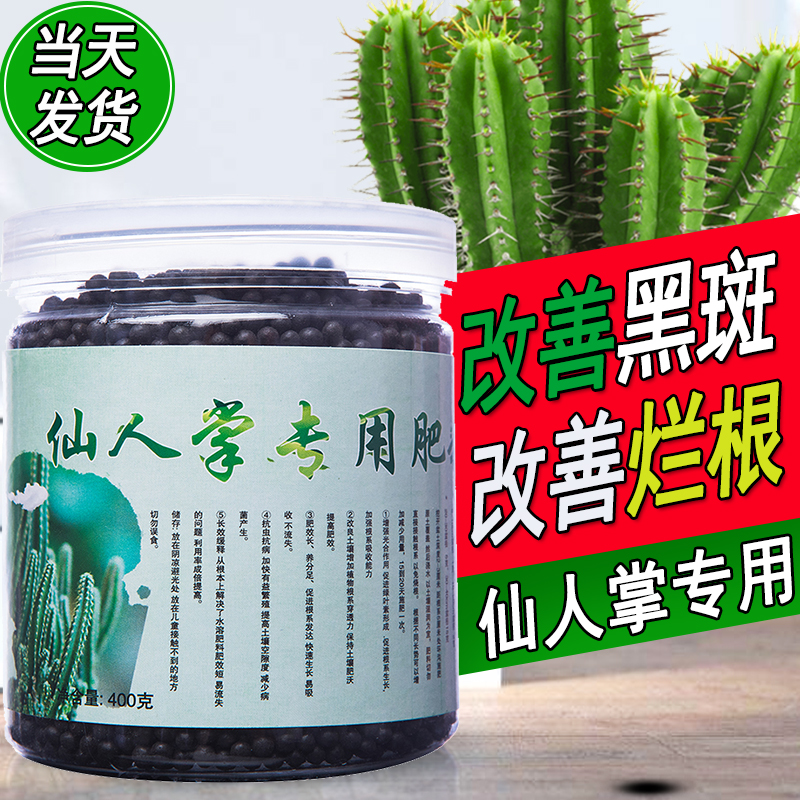 仙人掌仙人球肥料增加营养