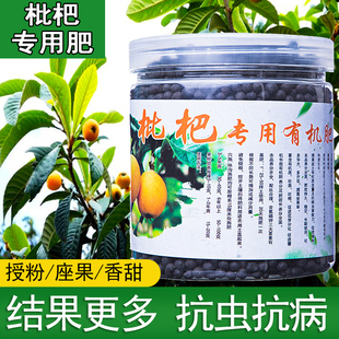 枇杷树专用肥枇杷肥料琵琶果树肥琵笆化肥金丸树颗粒有机肥营养液