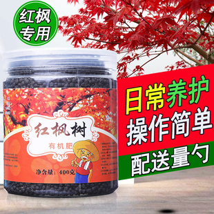 红营养液 枫树肥料红枫专用肥红枫树花肥黄金枫盆景盆栽树苗三季