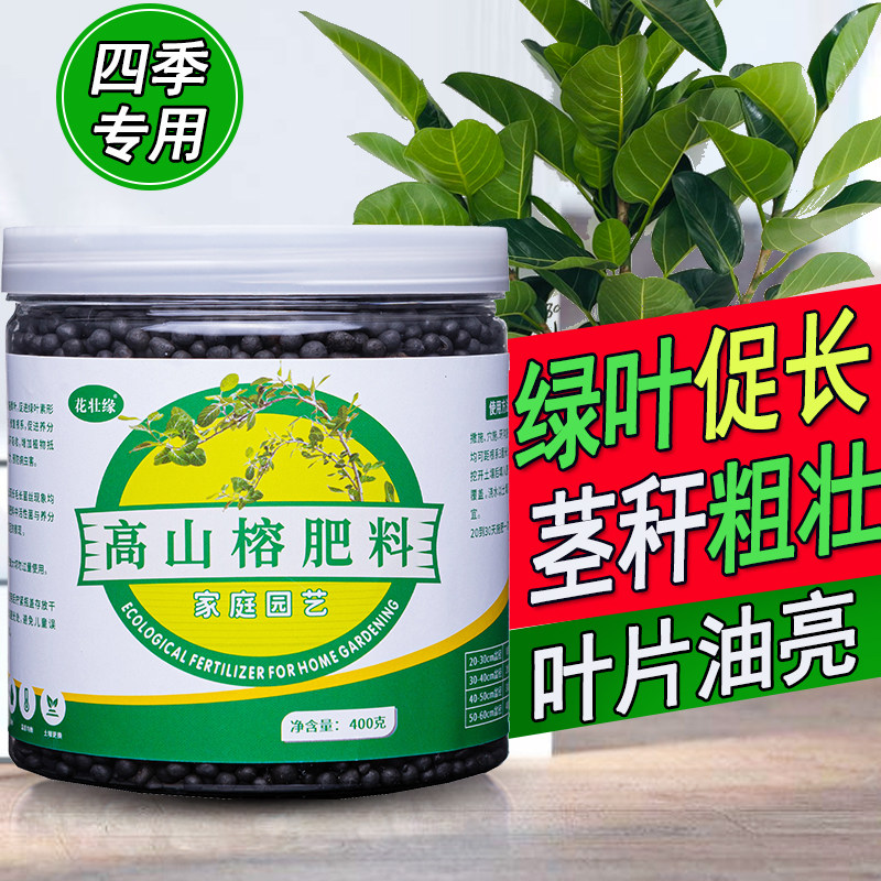 高山榕专用肥富贵榕肥料大型榕树营养液小叶榕树高山榕有机肥缓释,鲜花速递/花卉仿真/绿植园艺,家庭园艺肥料,淘宝优惠券,粉丝福利购,淘宝优惠卷