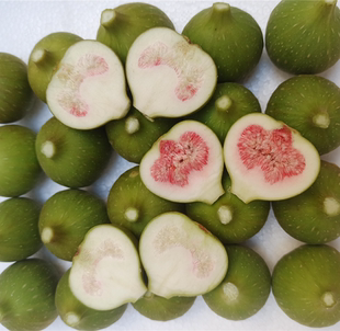 新鲜生无花果青果现摘未成熟小青果 青皮治zhi疮煲汤 不能直接吃